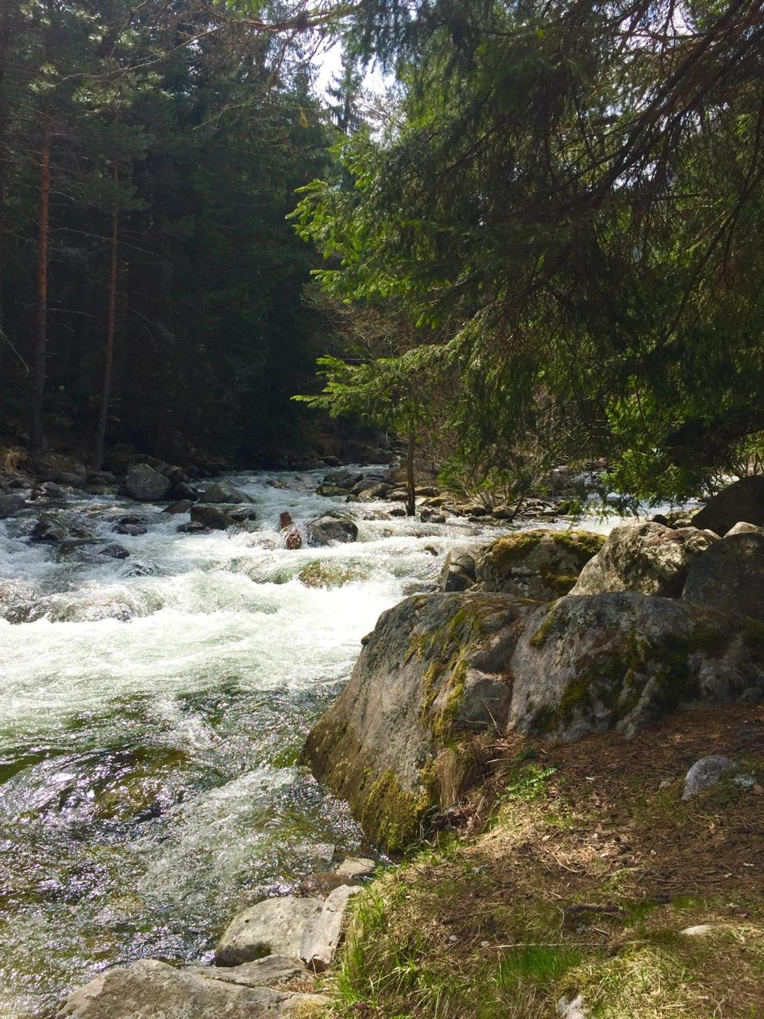 Niya Guest House Beli Iskar Zewnętrze zdjęcie