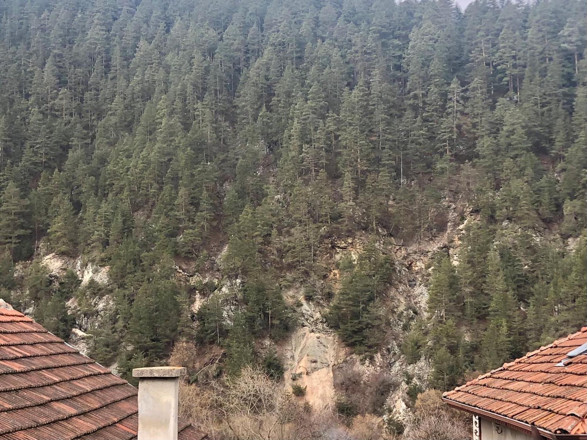 Niya Guest House Beli Iskar Zewnętrze zdjęcie